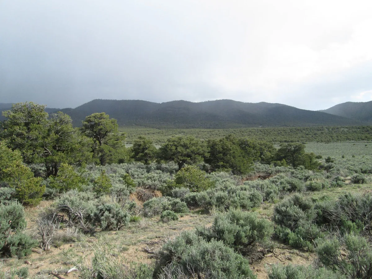 Costilla County 70230200